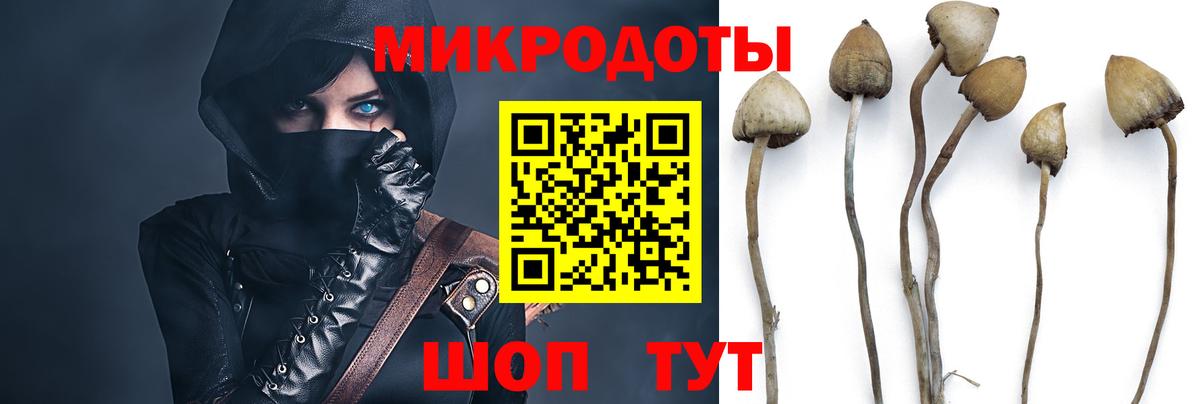 Домодедово  Псилоцибиновые грибы Psilocybe  Вход с VPN 